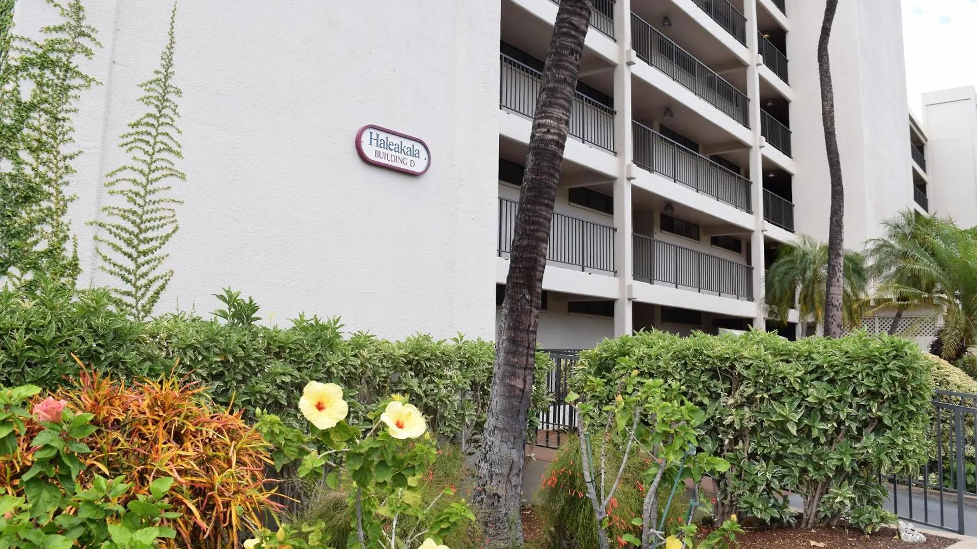 Ground Floor Garden View Unit With Great Amenities Apartment Wailea  0*, Wailea (Maui) United States